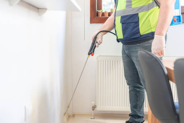 Best Local Pest Control Services  in Greenwood, MO