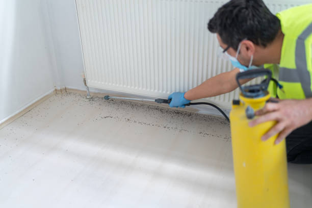 Best Affordable Pest Control Services  in Greenwood, MO